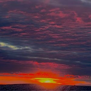 Meet your Posher, Clayton lee